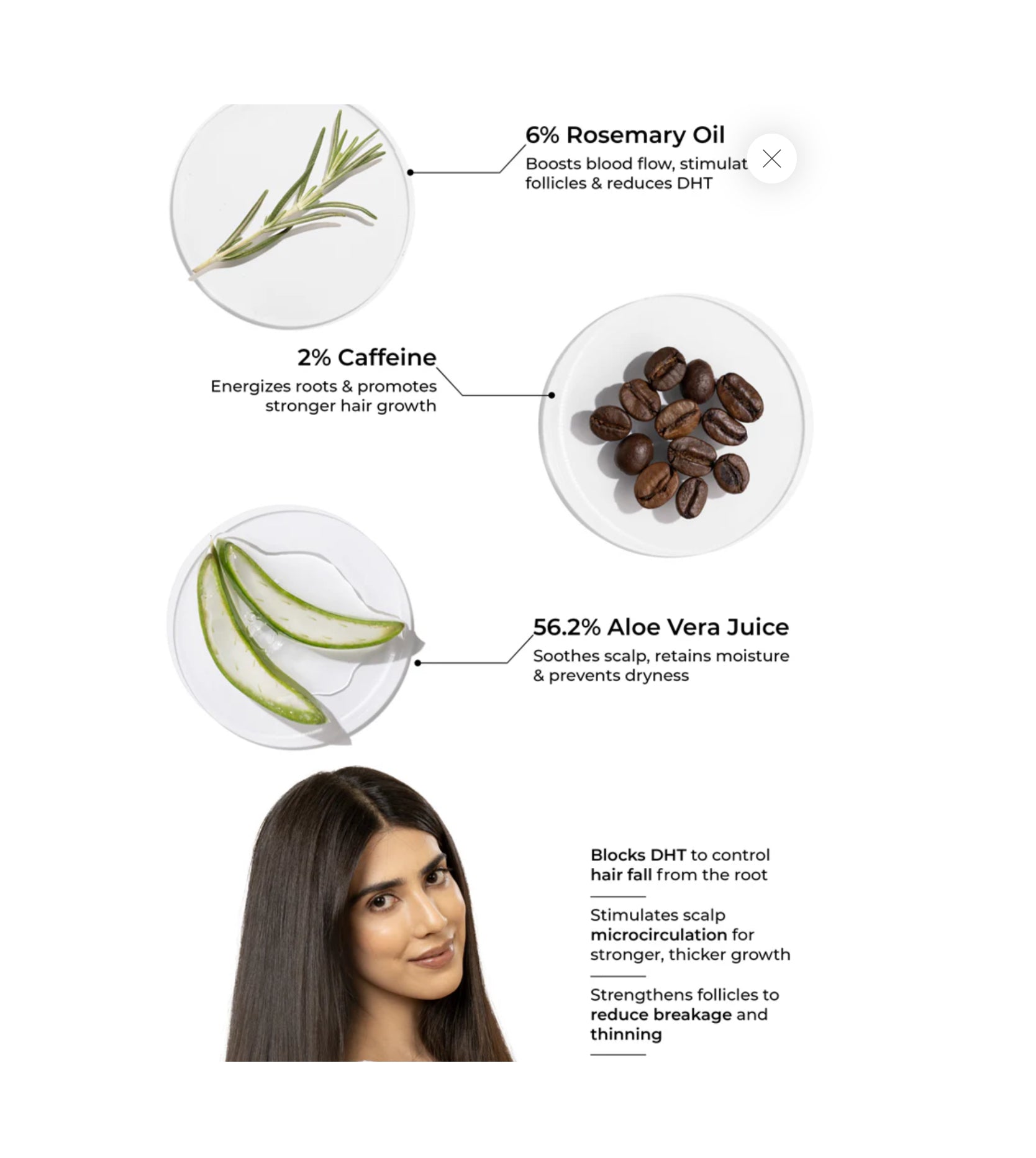 Rosemary Shampoo for Visible Hair Growth